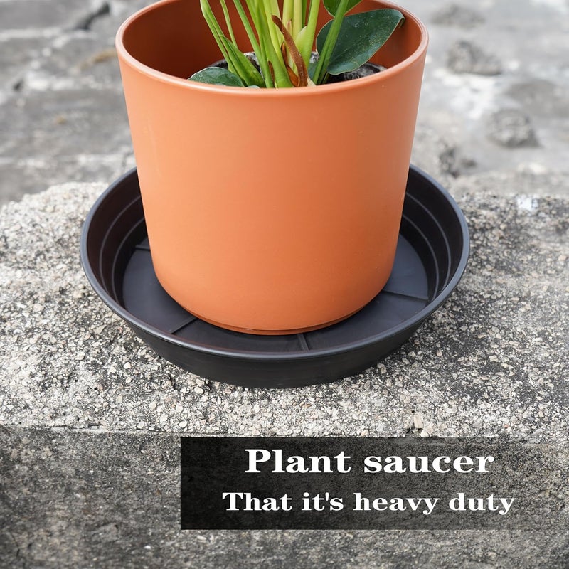 LWALRS 4 Packs 6 Inches Plant Saucer Drip Trays, Round Plastic Plant Pot Saucers Flower Pot Tray for Indoor Outdoor - Image 3