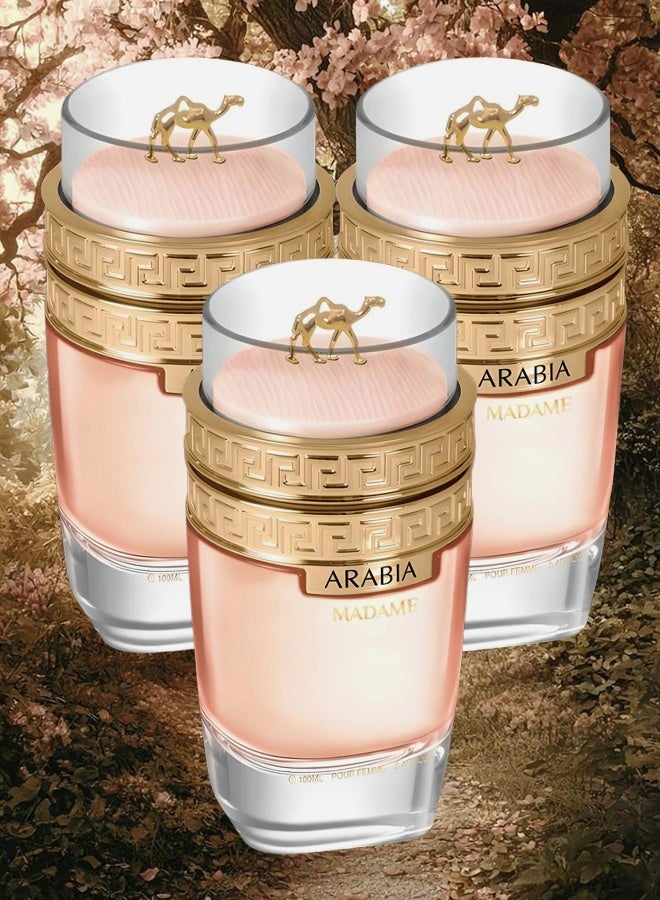 LE CHAMEAU 3 Pieces Arabia Madame Perfume For Women 100ml EDP - Image 1