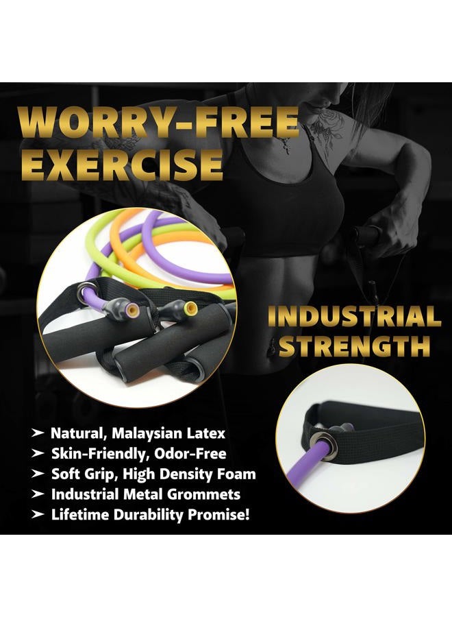 TRIBE Single Resistance Bands Set, Exercise Bands, Workout Bands with Fitness Band, Handles, Door Anchor & eBook for Resistance Training, Physical Therapy, Gym & Home Workout Gear. One Single Band Set - Image 4