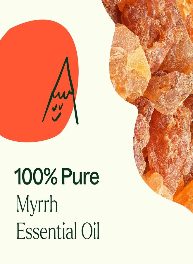 بلانت ثيرابي زيت خشب الأرز الهيمالايا العطري من بلانت ثيرابي، 10 مل (1/3 أونصة)، نقي 100%، غير مخفف، علاج عطري منعش لتركيز ذهني وصفاء - Image 5