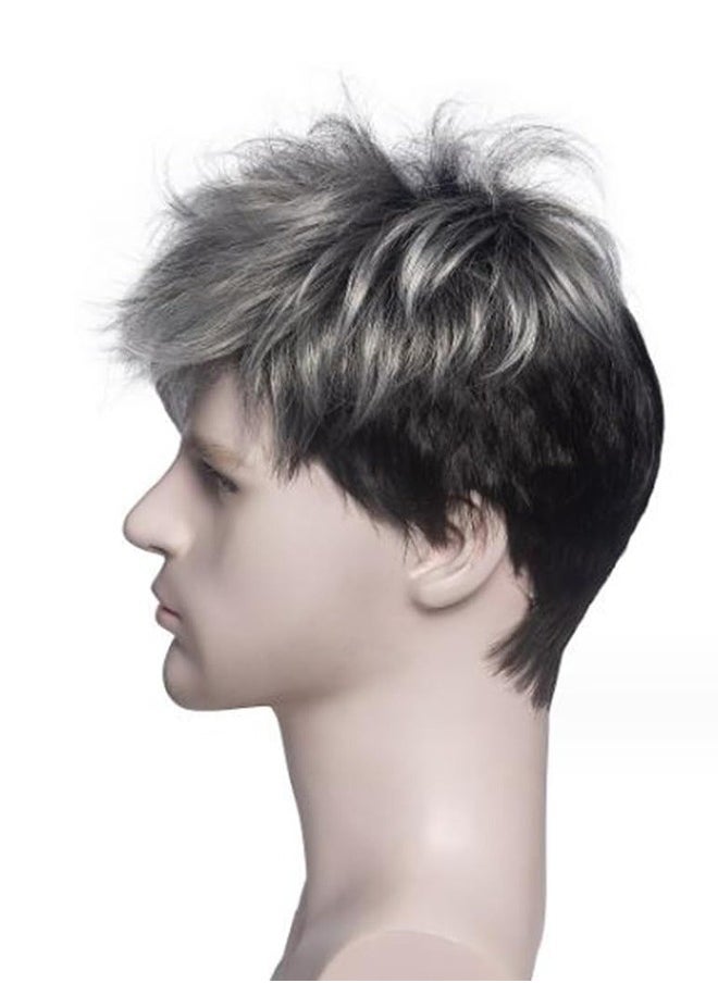 Generic - New Men's Wig Fluffy Natural Short Curly High Temperature Silk Rose Net Black Gray Full Head Cover - Image 1