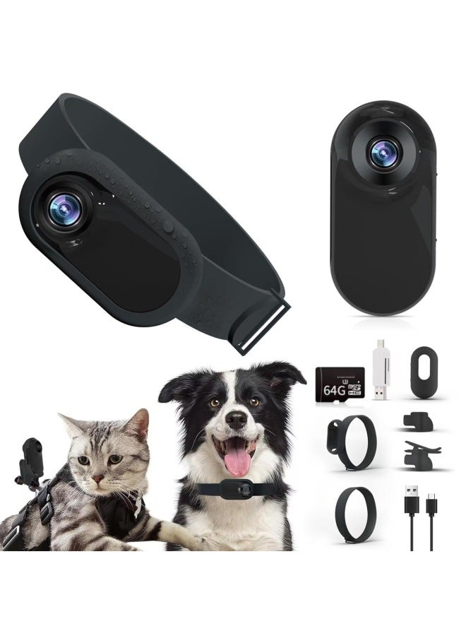 Source Thumb Pet Camera Long Endurance Magnetic Thumb Motion Camera HD Portable Recorder-Body Color:Standard Machine + Silicone Collar - Black + 64gb High-speed Card - Image 1