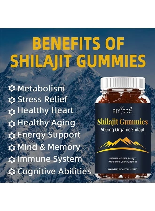 BIYODE Peak Performance Shilajit Gummies Organic Natural Boost Creatine Relieve Stress Enhance Focus Daily Wellness Support 60 Count - Image 4