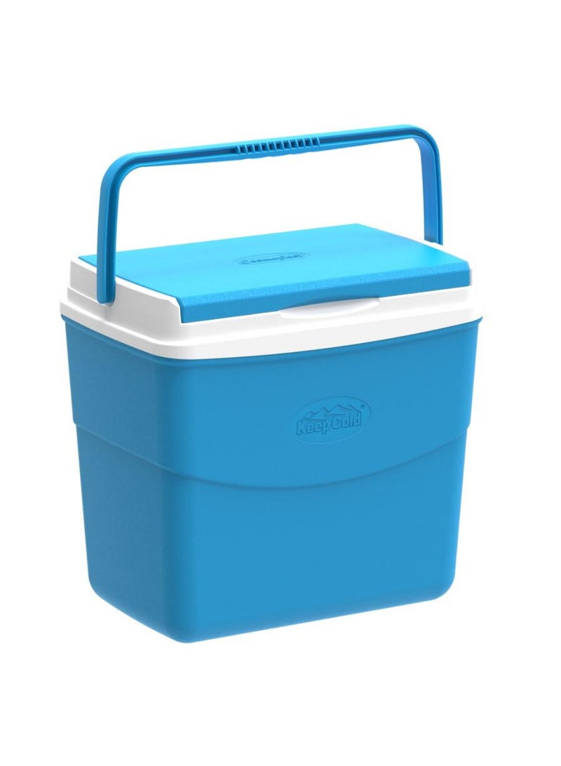 Picnic Icebox 30 L 46 X 29 X 38 Cm