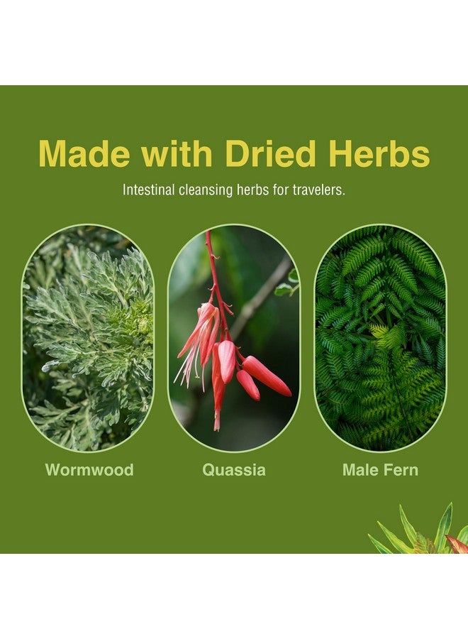 Herbs Etc. ParaFree - Gastrointestinal Support Supplement to Aid Intestinal Cleansing - Digestive Herbal Supplement with Wormwood, Quassia & Male Fern - 60 Softgels (60 Servings) - Image 5