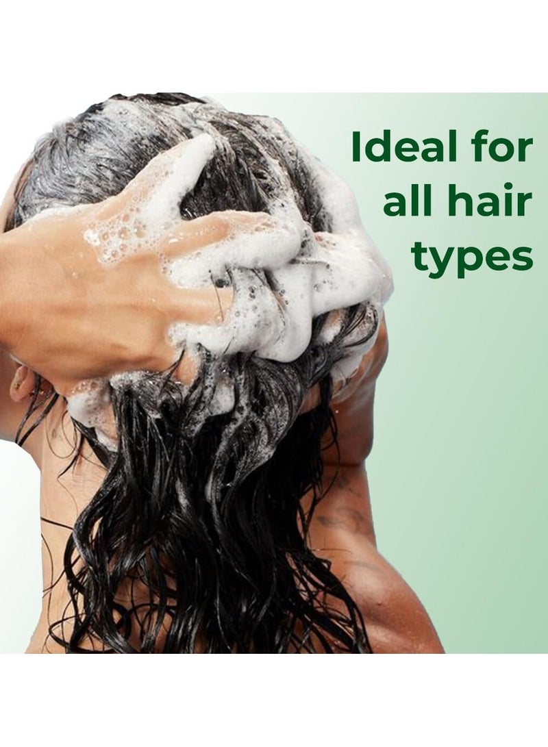 طبيعي شامبو مضاد للقشرة بخلاصة المريمية وحمض الساليسيليك | شامبو خالٍ من البارابين والكبريتات | يعمل من أول استخدام | 200 مل - Image 5