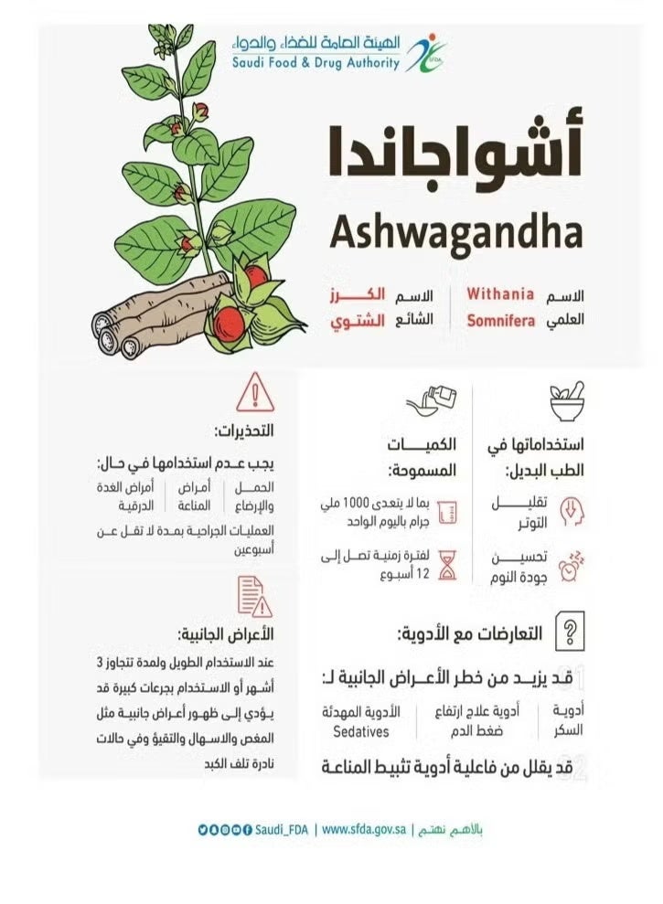 جي بي نوتراسيوتيكالز أشواق اشوغاندا 300 مجم 50 كبسولة - Image 2