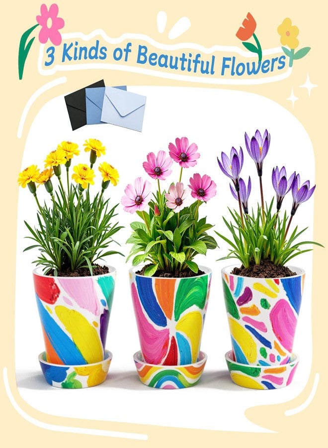 Ozzagar Kids Gardening Set Paint and Plant Flower Gardening Kit with 3 Pots, Kids Garden Flower Growing Kit Arts and Crafts Toys Gifts for Girls Boys Children Toys Gift for Girls Boys Ages 5 6 7 8 9 10 11 12 - Image 4