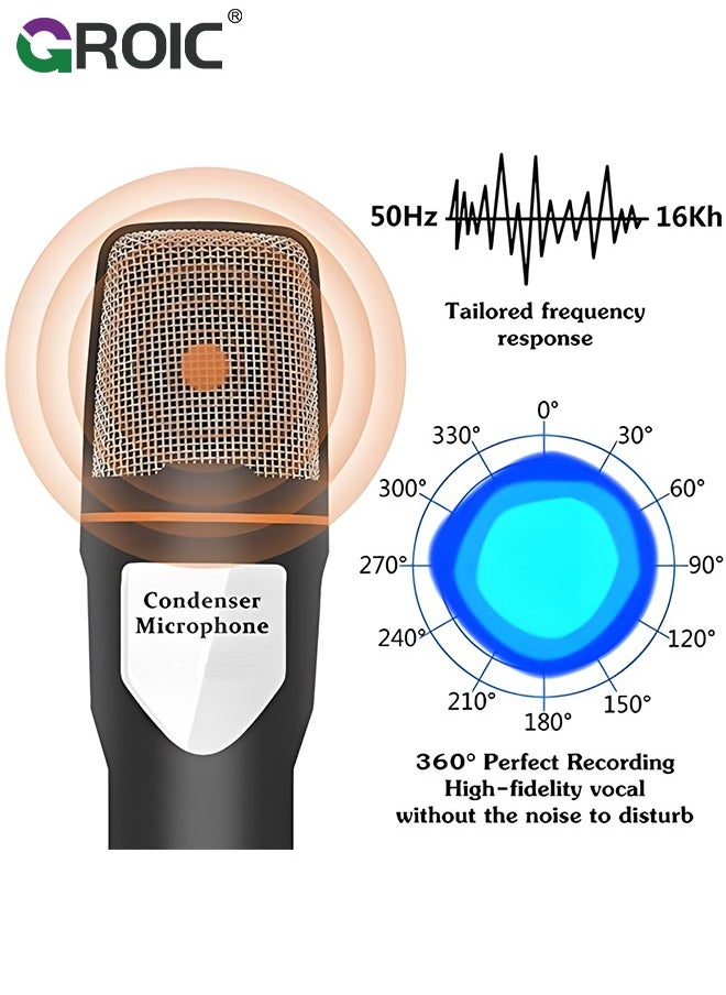Studio Condenser Black Microphone, Professional HiFi Stereo Low Noise Cardioid Omnidirectional Wired Computer Microphone Set with Desktop Tripod for Recording Live Broadcast Speech, Plug and Play