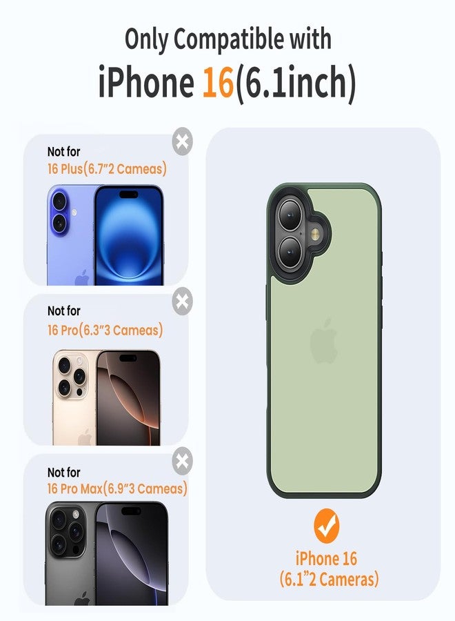 جراب Yriklso لهاتف iPhone 16، مقاوم للصدمات، حماية من السقوط بمعايير عسكرية، جراب خلفي صلب رفيع وشفاف لهاتف iPhone 16-6.1 بوصة، أخضر مطفي - Image 2