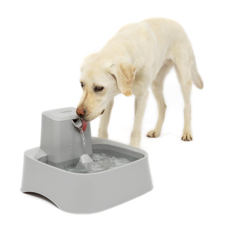 PetSafe Drinkwell Pet Fountain,Dog Water Bowl Dispenser for Cat and Dogs, Plastic, Adjustable Flow Control, Easy to Clean Design,Grey, 2 Gallon/256 oz - Image 1
