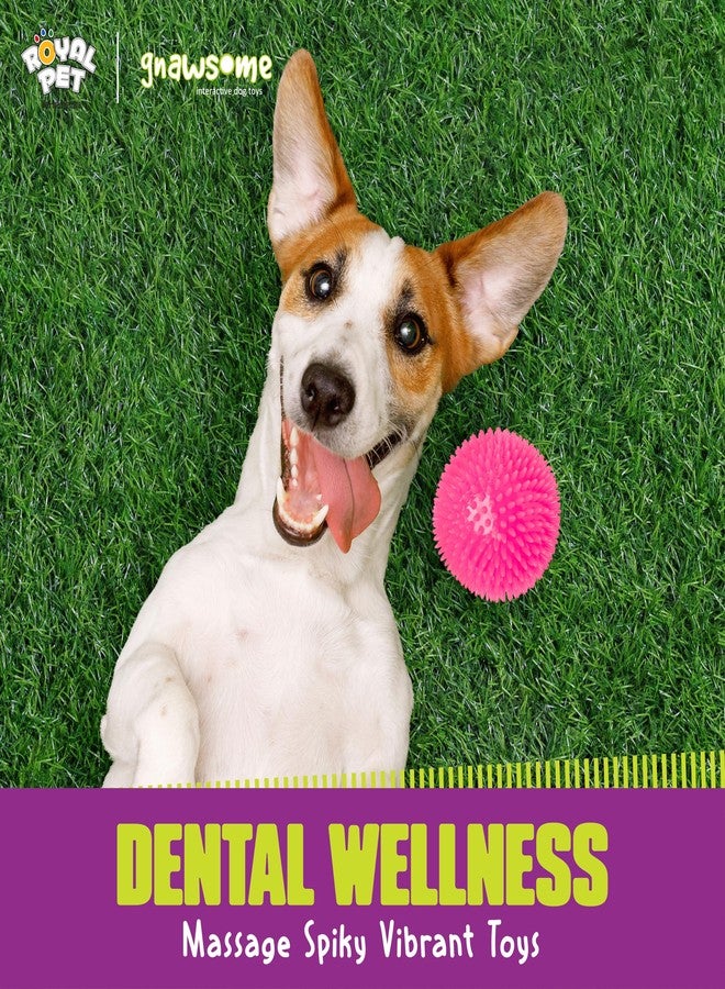 Gnawsome 4.5” Spiky Squeak & Light Ball Dog Toy - Extra Large, Cleans teeth and Promotes Dental and Gum Health for Your Pet, Colors will vary, All Breed Sizes - Image 4