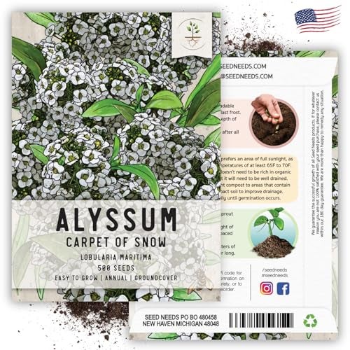 Seed Needs Heirloom Alyssum Flower Seed Packet Collection Variety Pack (Includes 4 Packets) Basket of Gold, Royal Carpet, Dwarf Pink & Carpet of Snow - Perfect for Rock Gardens - Image 4