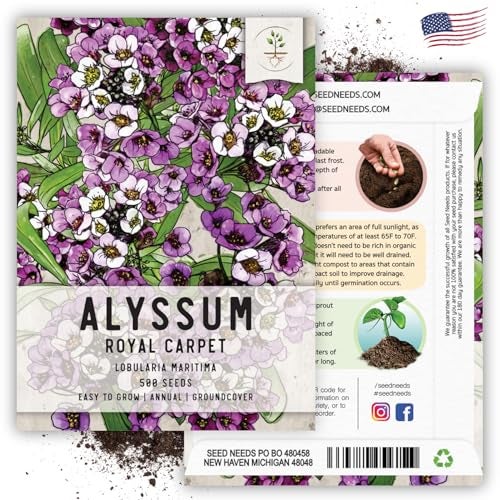 Seed Needs Heirloom Alyssum Flower Seed Packet Collection Variety Pack (Includes 4 Packets) Basket of Gold, Royal Carpet, Dwarf Pink & Carpet of Snow - Perfect for Rock Gardens - Image 3