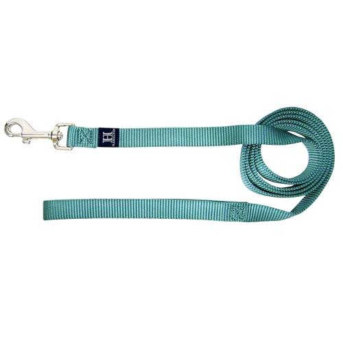 Hamilton Single Thick Deluxe Nylon Dog Leash with Swivel Snap, 1" by 6' Long, Teal - Image 1