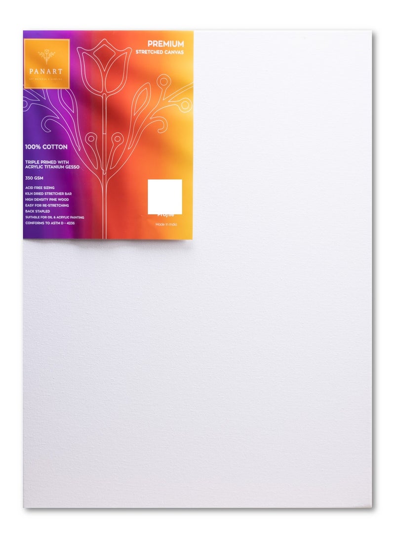 Panart قماش قطن مشدود بحجم 30x40 سم ممتاز - Image 1