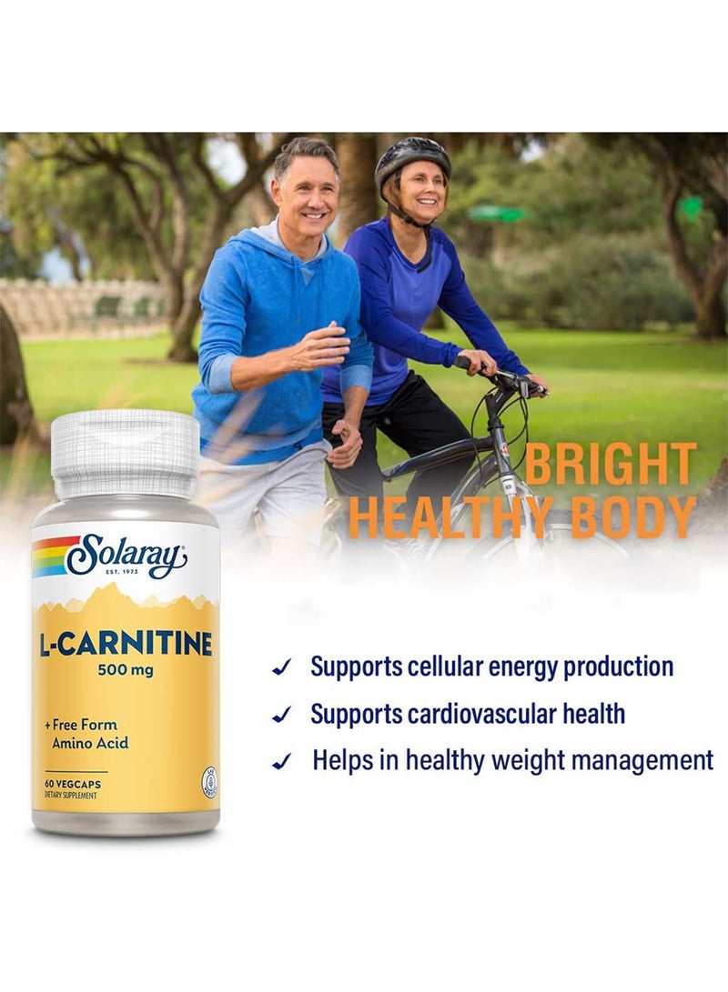 L-Carnitine 500mg 60 VegCaps Energy And Metabolism Support
