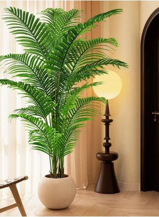 Palm Tree