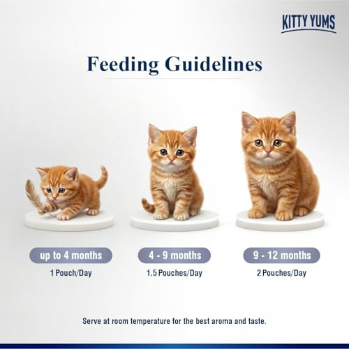 Kitty Yums Kitten Wet Mousse 80g | Chicken | Rich in Protein | Promotes Hydration & Easy to Digest | Grain Free | No Artificial Flavours | Packed with Essential Vitamins & Antioxidants - Image 5