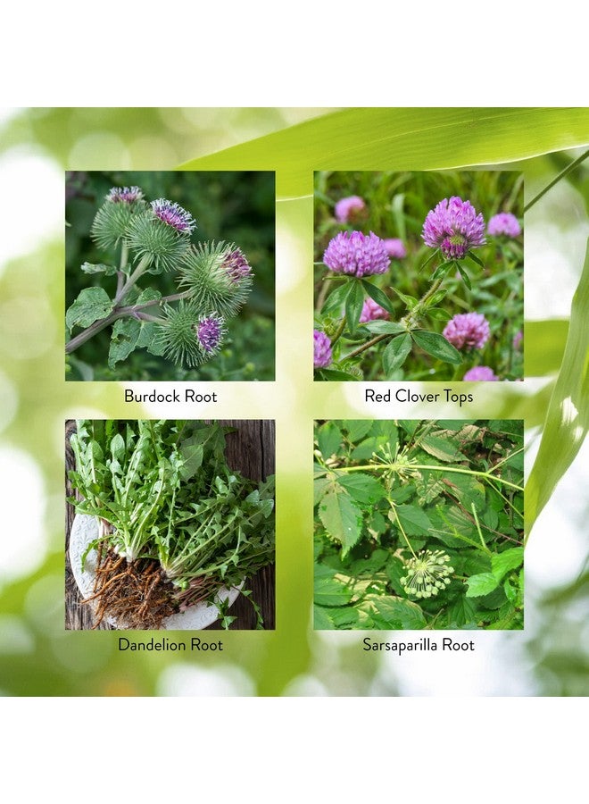 ناتشرز صن شاين Nature's Sunshine BP-X، 100 كبسولة | يدعم صحة الأمعاء والجهاز الهضمي والكبد ويساعد في وظائف الكبد والمرارة والأمعاء - Image 5