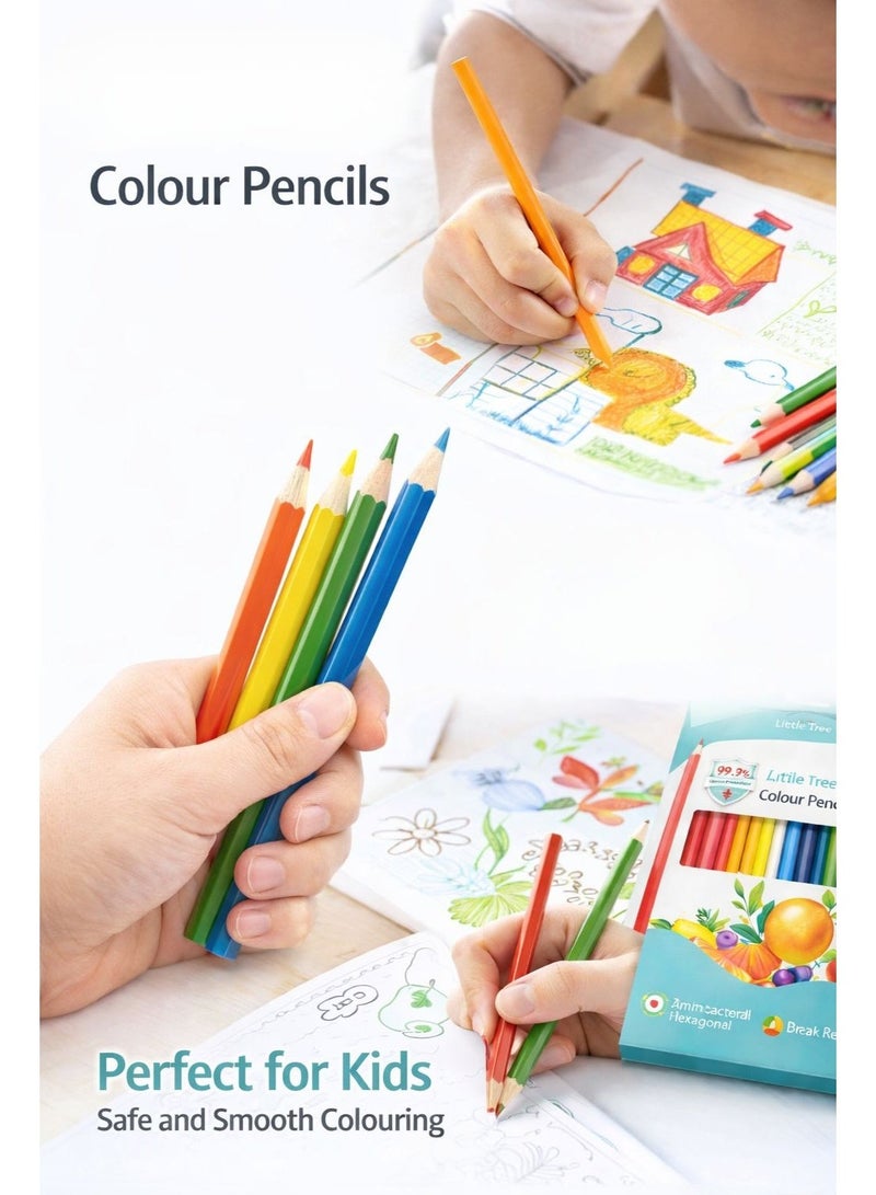 أقلام تلوين ليتل تري 24 لون للأطفال والمدرسة - سن 3 مم مقاوم للكسر، تصميم سداسي مريح، ألوان زاهية متنوعة - Image 3