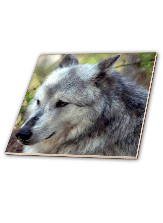 3DROSE Wolf - Glass Tile, 10cm - Image 1