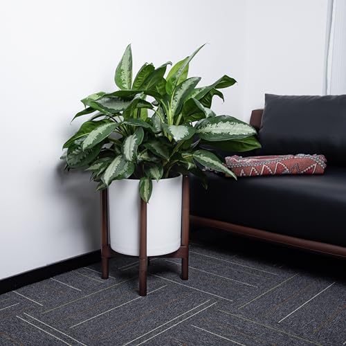 D'vine Dev Planter with Stand - 12 Inch Plastic Cylinder Flower Pot with Wood Holder for Indoor, Matte White Pot + Walnut Color Stand, 55-C-O-1 - Image 4
