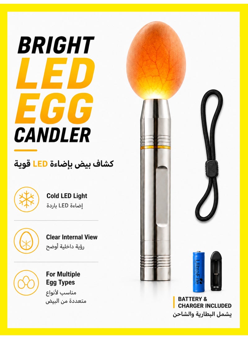 BASEMENT-1 Rechargeable LED Egg Candler For Incubation, Cold Light Egg Tester Lamp For Checking Fertilized Eggs, Metal Body With 18650 Battery, Silver - Image 2