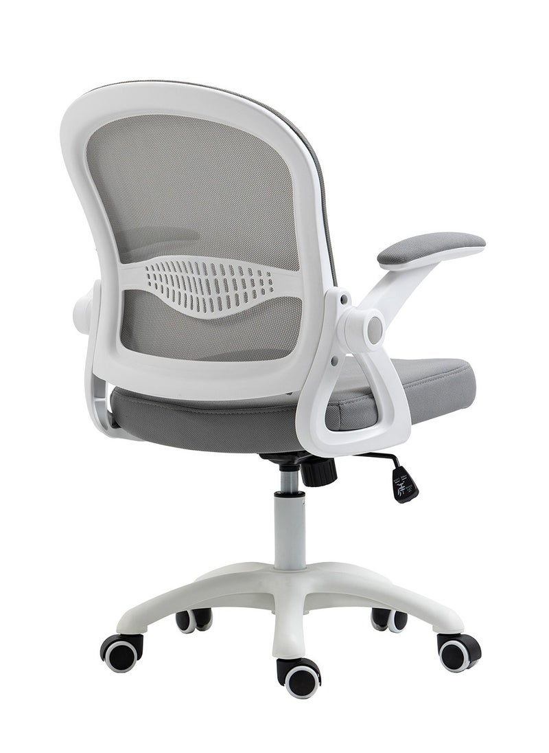 AnneFish - Comfortable Office Chair Ergonomic Low Back Mesh Chair with Flip Up Armrests and Lumbar Support Computer and Home Office Chair - Image 1