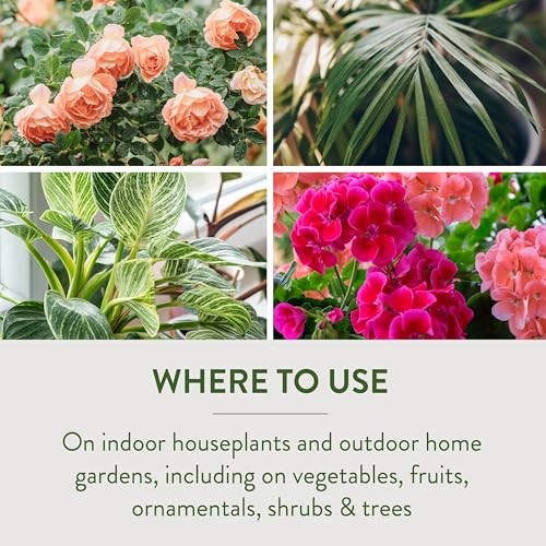 Garden Safe Brand Houseplant & Garden Insect Killer2, 32 Fluid Ounces, Kills 100+ Listed Insects on Contact, For Use in Homes, Home Gardens & Home Greenhouses Up to Day of Harvest - Image 5