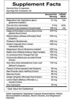 مكمل غذائي من Natura Health Products Digest Mend - يشجع على نمو البكتيريا المعوية الصحية* - يحتوي على عرق السوس منزوع الجليسريزين (DGL)، والصبار، والخطمي، وصمغ المستكة، والبابونج (180 كبسولة) - pzsku/ZF30BE07156305573082EZ/45/_/1735907878/400de862-c132-49c7-af93-682d62fc3760