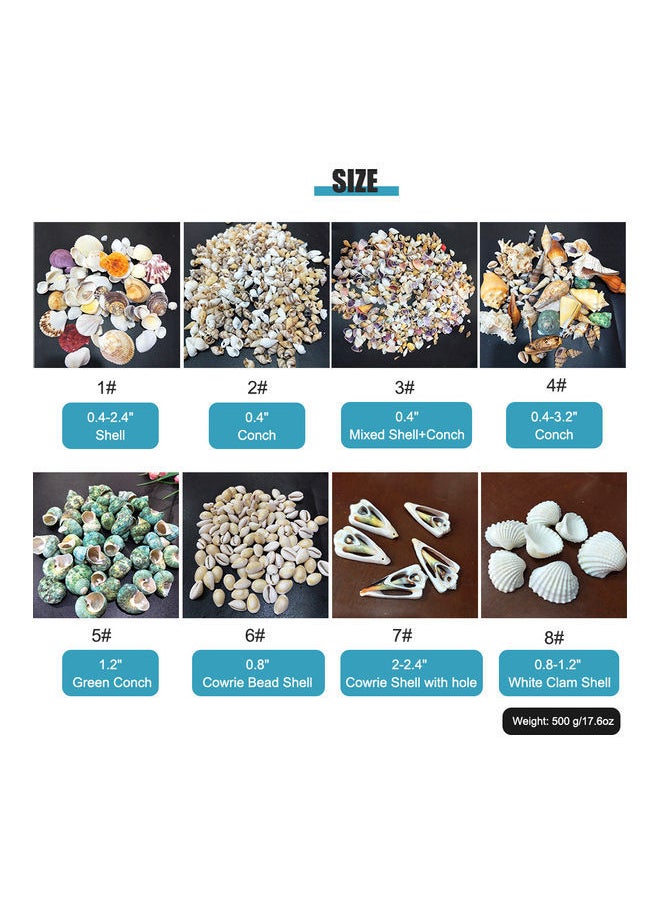 NIBEMINENT Varied Size Seashells Mixed for Beach Theme White 20.00 x 5.00 15.00cm  - Image 5