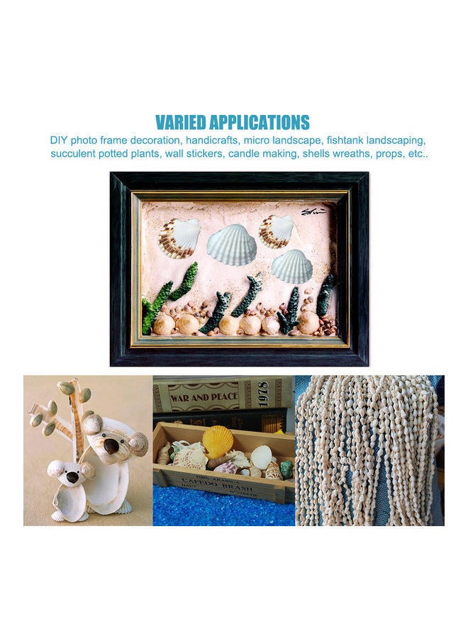 NIBEMINENT - Varied Size Seashells Mixed for Beach Theme White 20.00 x 5.00 15.00cm - Image 1