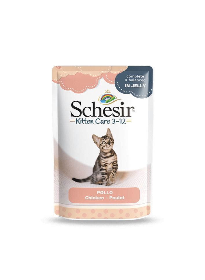 Schesir Kitten Care 3-12 In Jelly Chicken Pouch 85g - Image 1