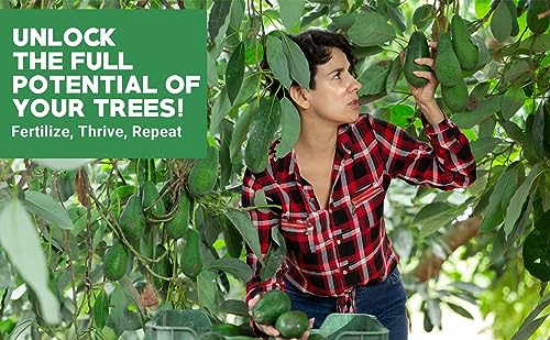 Gardenwise 6-4-6 Avocado, Mango Citrus Tree Professional Fertilizer, Plant Food Outdoor/Indoor Gardening; Quick-Release Nitrogen Fertilizer; Orange, Lime, Avocado and Lemon Tree Fertilizer (1/2 QUART) - Image 4