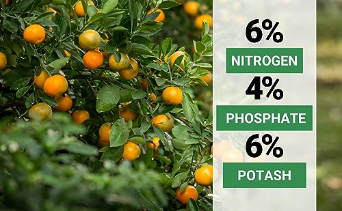 Gardenwise 6-4-6 Avocado, Mango Citrus Tree Professional Fertilizer, Plant Food Outdoor/Indoor Gardening; Quick-Release Nitrogen Fertilizer; Orange, Lime, Avocado and Lemon Tree Fertilizer (1/2 QUART) - Image 5