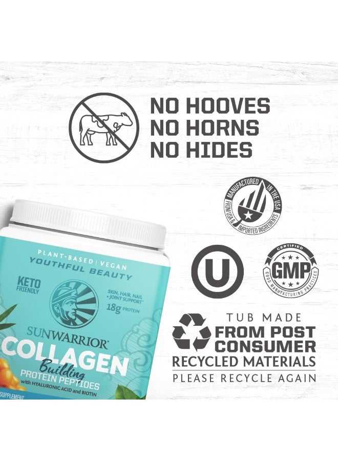 Sunwarrior Collagen Building Protein Peptides Powder Unflavored, 1.1Lbs (500g) - Image 4