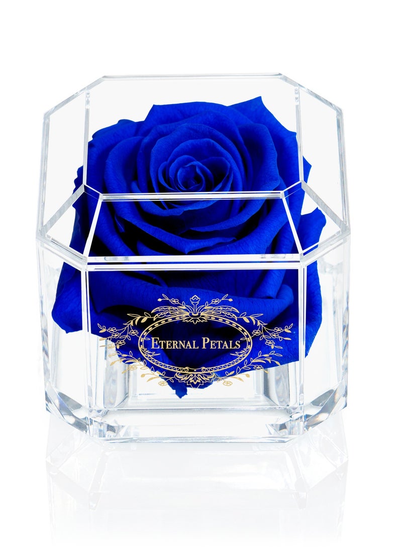 ETERNAL PETALS Eternal Petals, A 100% Real Rose That Lasts Years - Gold Solo (Dark Blue)  - Image 1