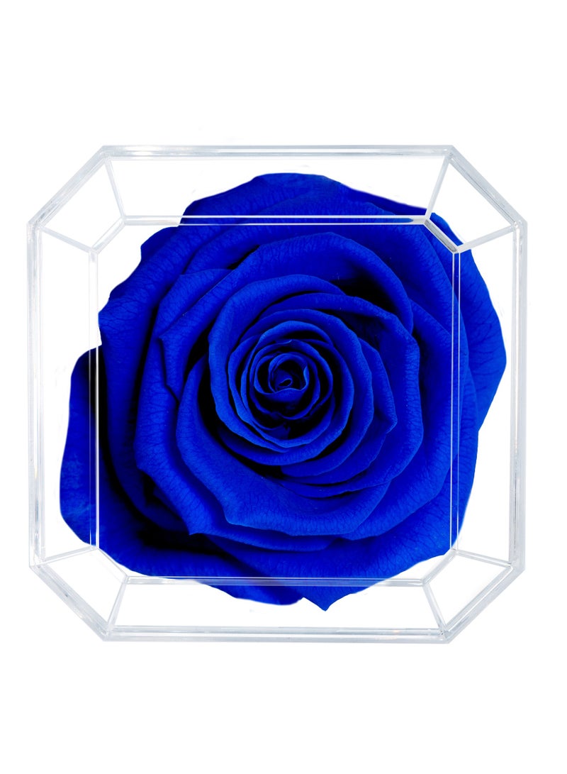 ETERNAL PETALS Eternal Petals, A 100% Real Rose That Lasts Years - Gold Solo (Dark Blue)  - Image 2