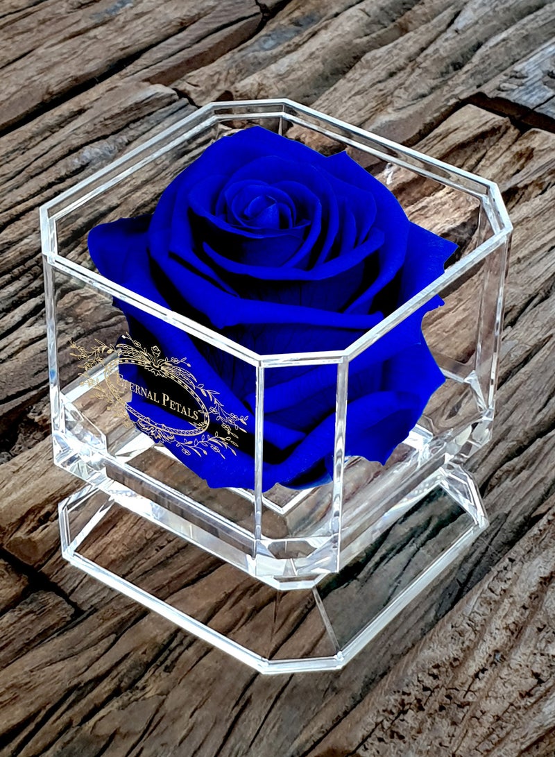ETERNAL PETALS Eternal Petals, A 100% Real Rose That Lasts Years - Gold Solo (Dark Blue)  - Image 3