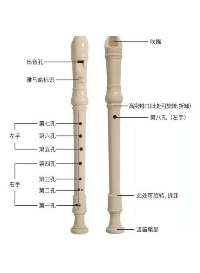 Yamaha YRS-23 Soprano Recorder Flutes, German Fingering System Key of C Plastic Soprano, Best Gift for Students and Music Fans - Image 4