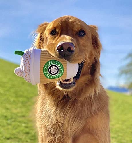 Nestpark Parody Star Pups Coffee Dog Toy Pup'kin Spice Latte - Fall Funny Parody Plush Squeaky Holiday Toys for Medium, Small and Large - Cute Gifts for Dog Birthday - Cool Stuffed For All Breed Sizes - Image 5