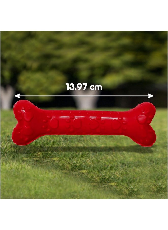 Drools Non-Toxic Rubber Toy for Dogs (Large) 12.7 cm Pack - Image 3