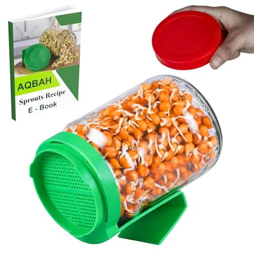 AQBAH Sprouts Maker Glass Jar Multi Use Hygienic Glass 850ml Durable & Reusable for All Seeds and Beans, BPA-Free with 300-Hole Mesh Lid for Airflow, Easy Drainage Design, Set Of 1 (GREEN) - Image 1