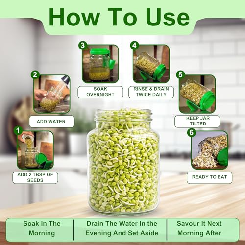 AQBAH Sprouts Maker Glass Jar Multi Use Hygienic Glass 850ml Durable & Reusable for All Seeds and Beans, BPA-Free with 300-Hole Mesh Lid for Airflow, Easy Drainage Design, Set Of 1 (GREEN) - Image 5