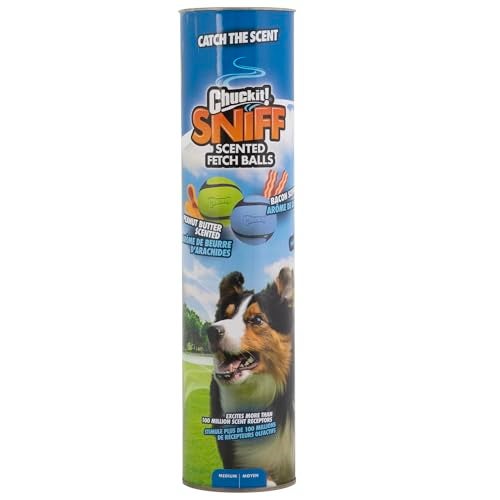 Chuckit Sniff Fetch Balls Canister Pack of 4 for Medium Dog Breeds 2060 lbs - Image 1