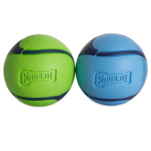 Chuckit Sniff Fetch Balls Canister Pack of 4 for Medium Dog Breeds 2060 lbs - Image 3