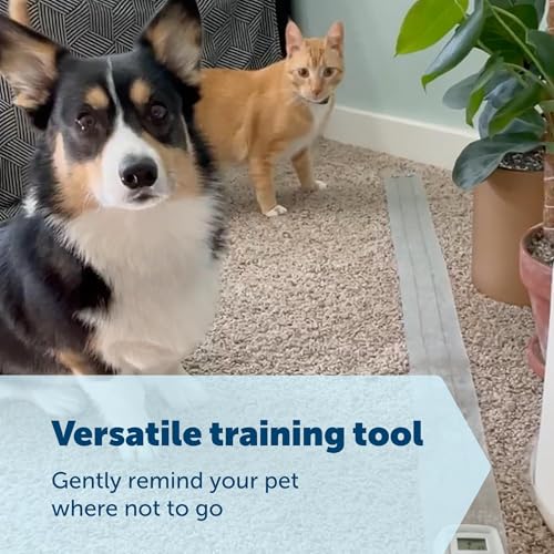 PetSafe ScatMat Indoor Electric Training Mat for Cats & Dogs, Sofa, 60" x 12" - Image 4