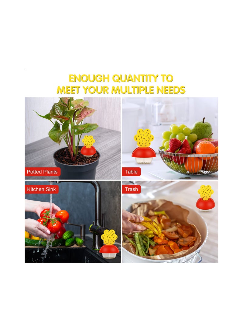 SYOSI 3 Pack Fruit Fly Traps for Indoors with 9 Pcs Sticky and 3 Baits Gnat Killer Catcher Fungus House Flies Kitchen Plant  - Image 3