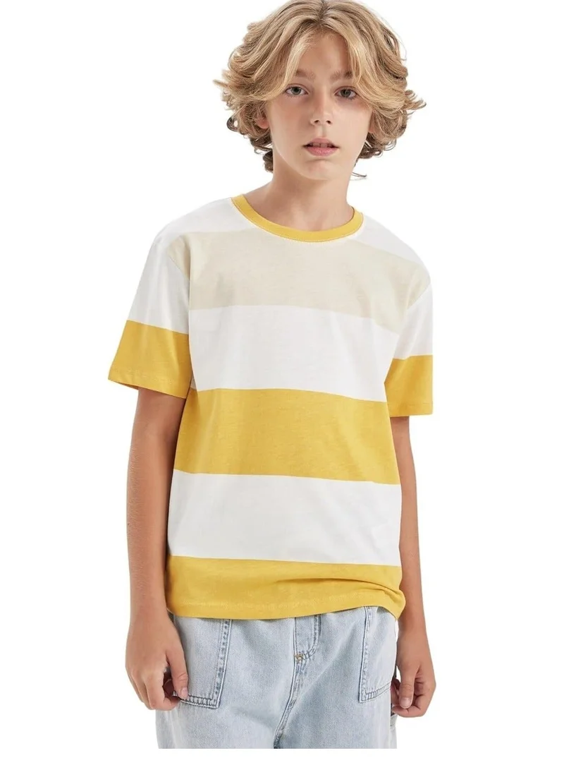 DeFacto Crew Neck Striped Short Sleeve T-Shirt